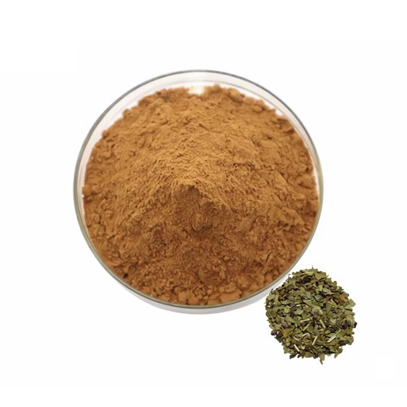 Yerba Mate Extract