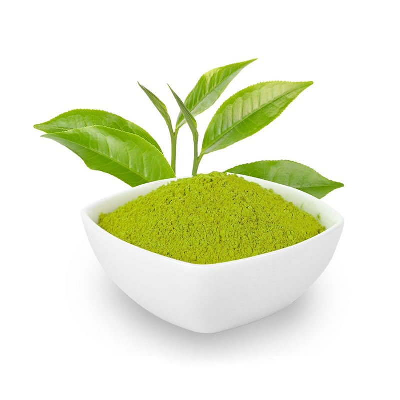 Green Tea Extract