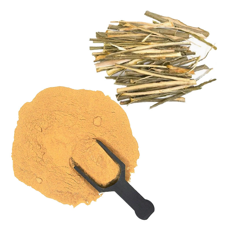 White Willow Bark Extract