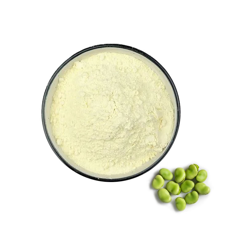 Broad bean protein Powder