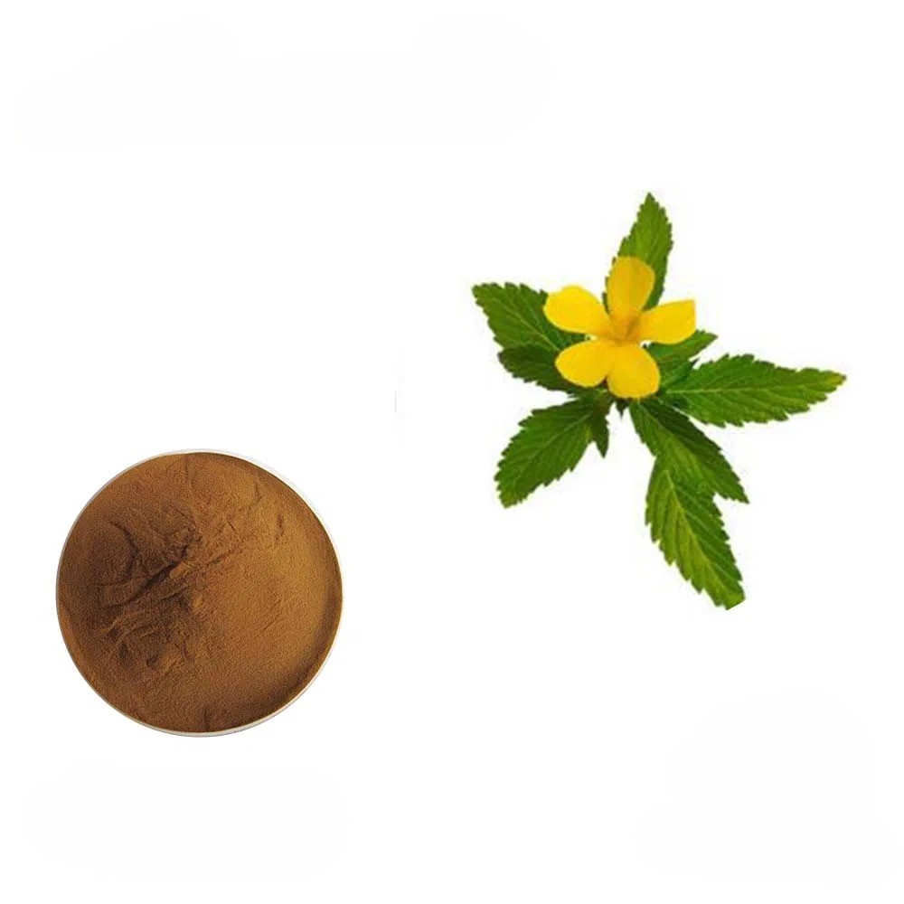 Aphrodisiac Herbs TOP 11 for Sexual Health: Unlocking Natural Libido Boosters